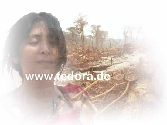Hellseherin_Tedora