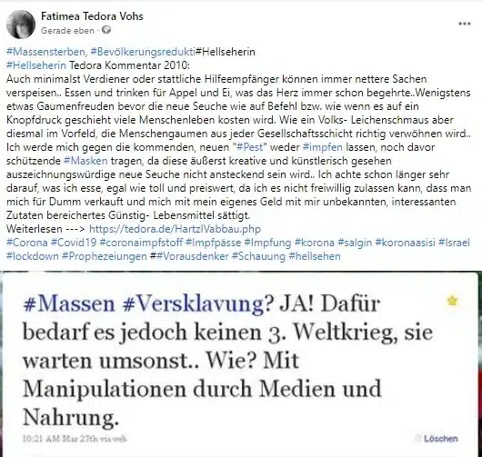 Grundsicherung und Screenshot eines Facebook- und Twitter-Beitrags von Tedora vom März 2010 zu den Themen Gesellschaftswandel, Masken und Seuche."